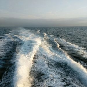 Meet your Posher, Ben